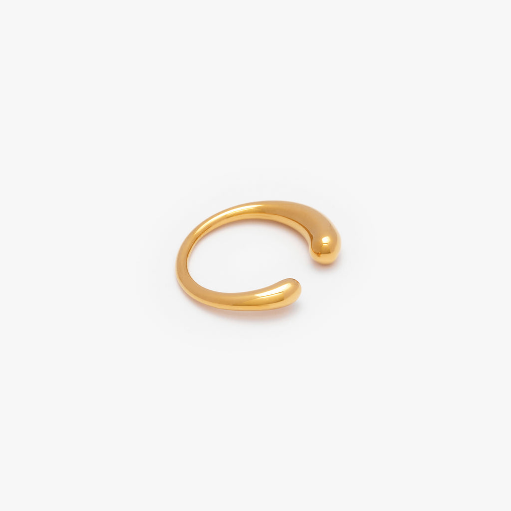 Destiny Ring