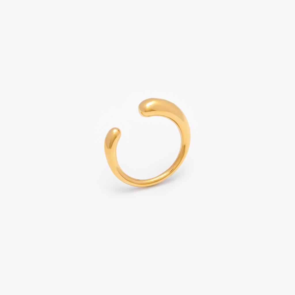 Destiny Ring